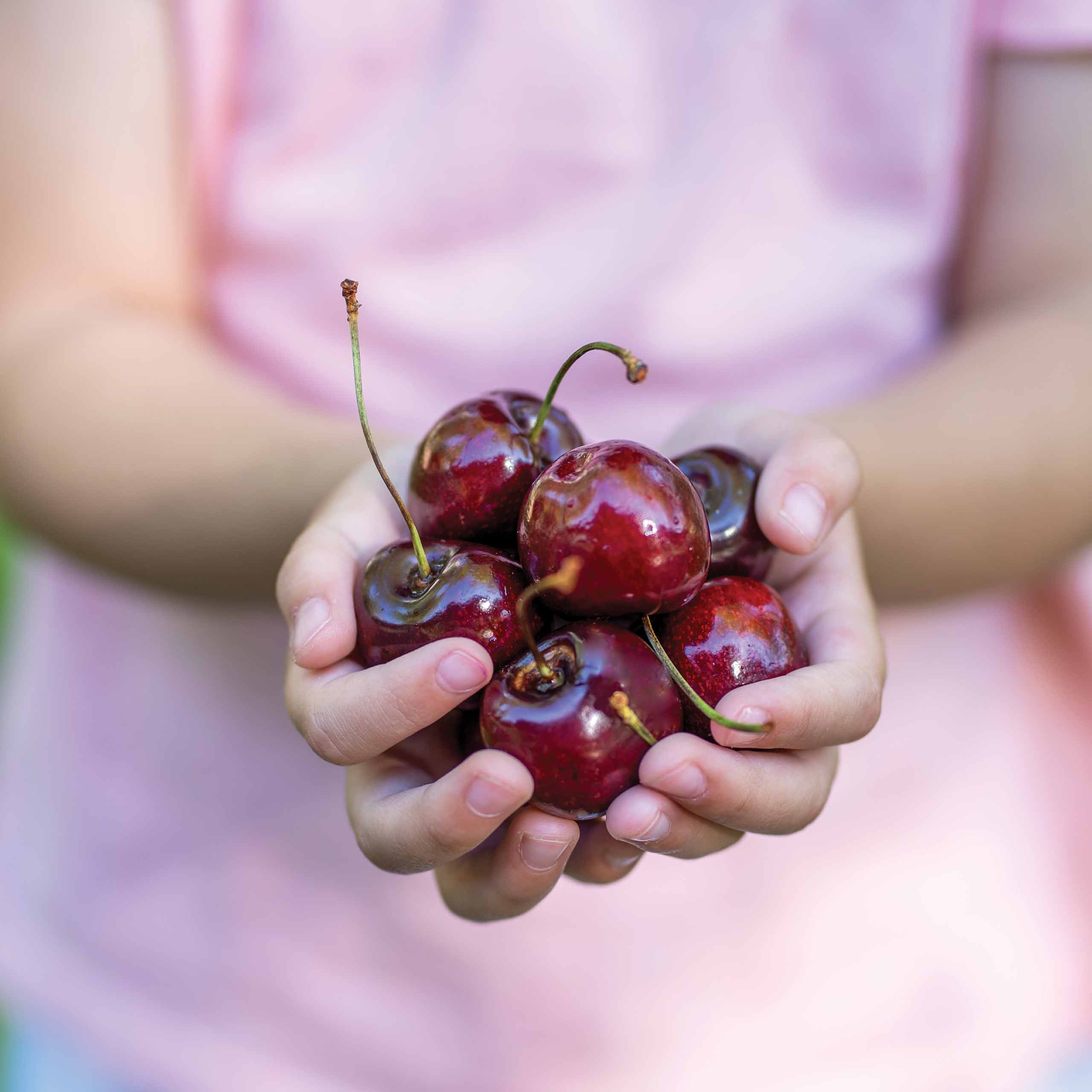 Cherries