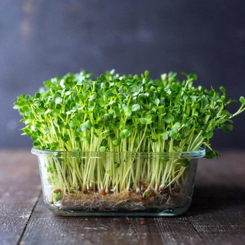 microgreens