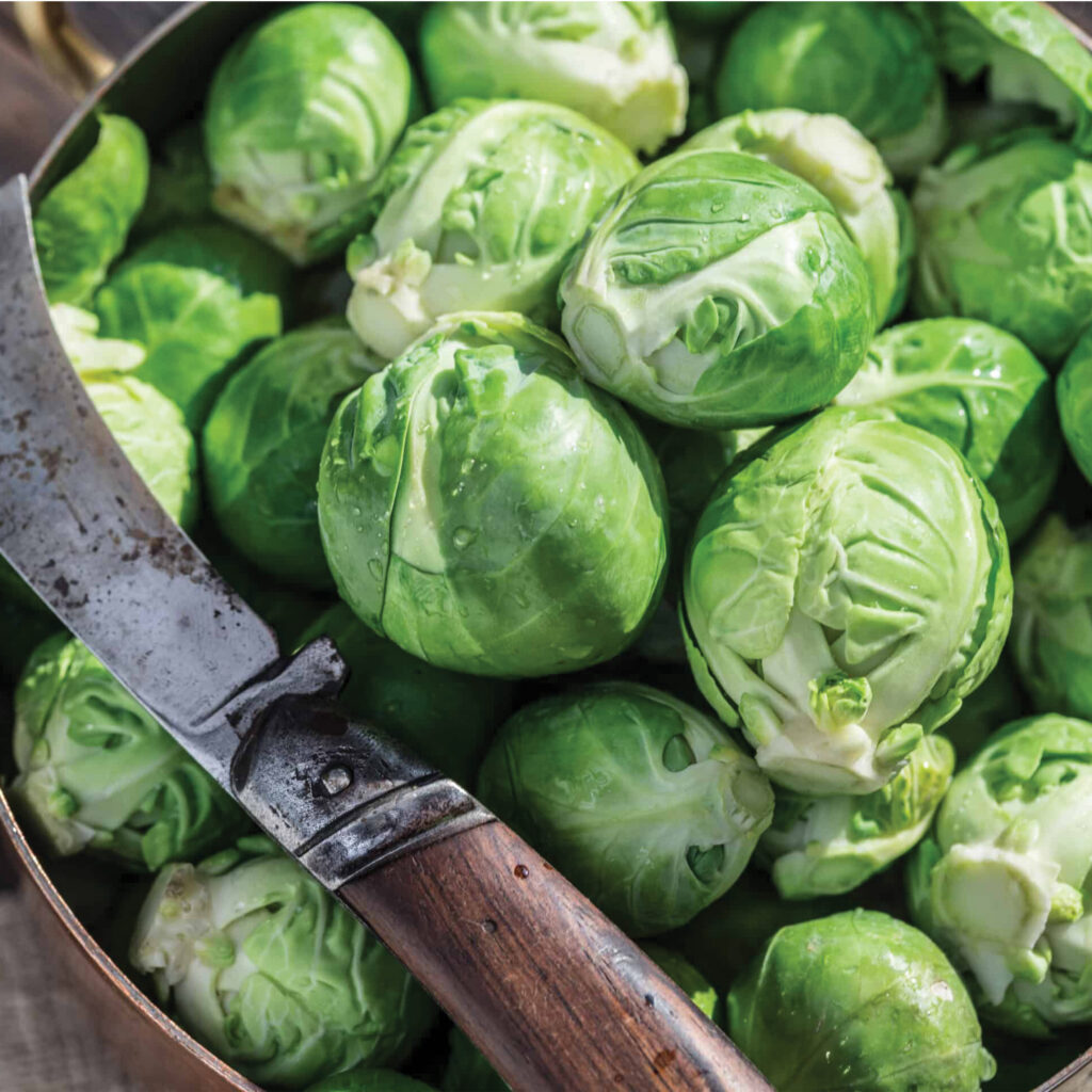 Brussels Sprouts