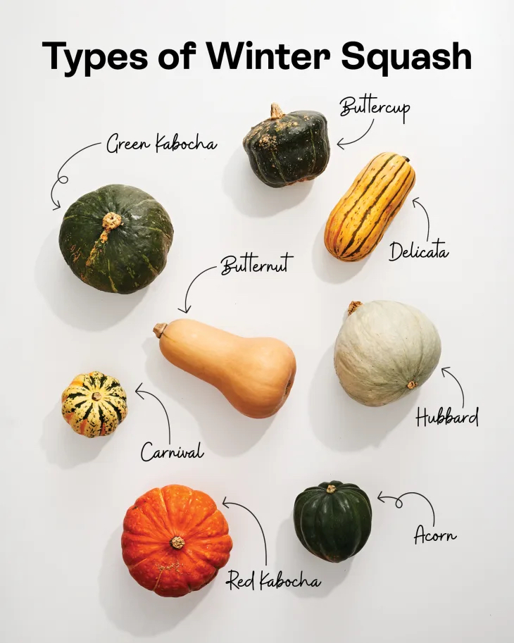 winter-squash