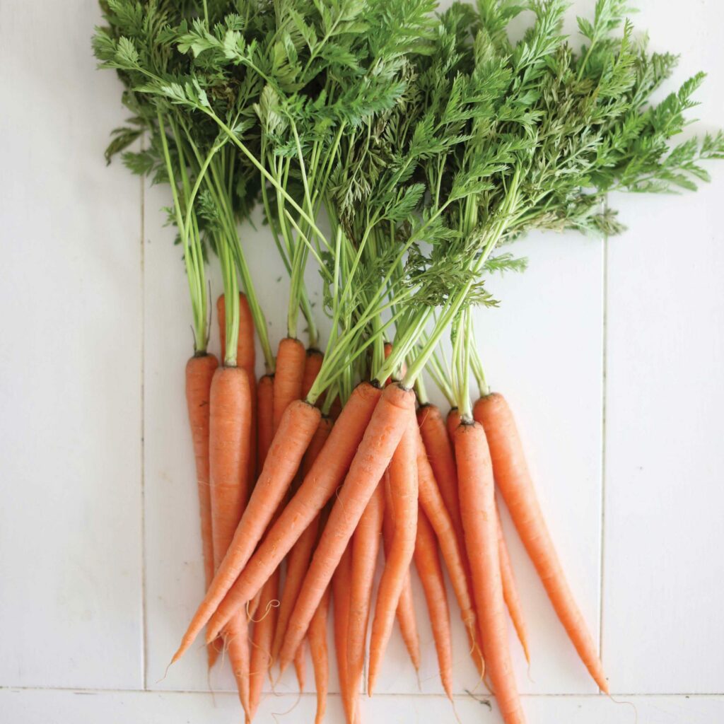 Carrots