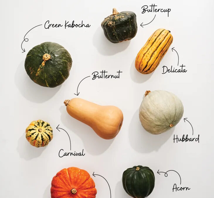 December is Squash Month