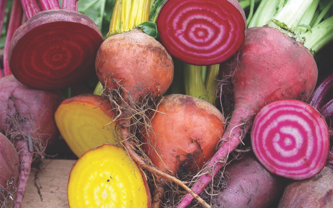 February is for Beets!